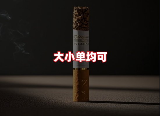 专业团队
